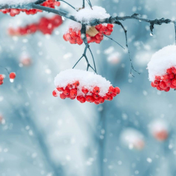 标志 Beautiful Winter Live Wallpaper